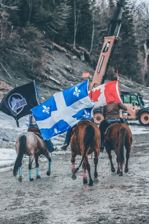 Skijoring avec drapeaux du Québec